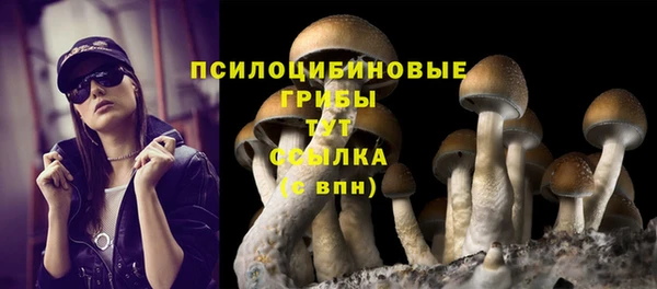 MDMA Premium VHQ Белокуриха